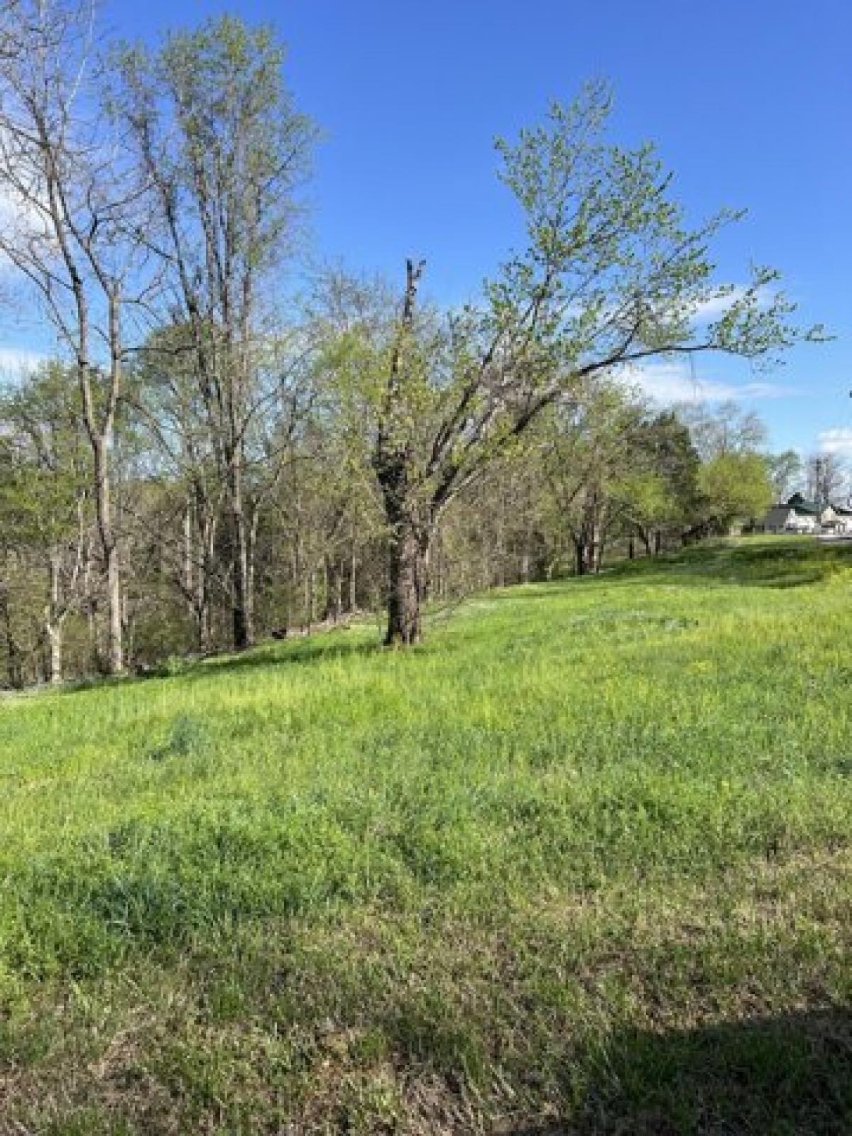 Picture of Residential Land For Sale in Red Boiling Springs, Tennessee, United States