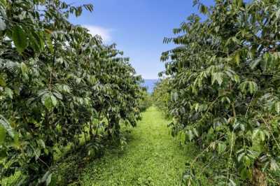 Home For Sale in Captain Cook, Hawaii