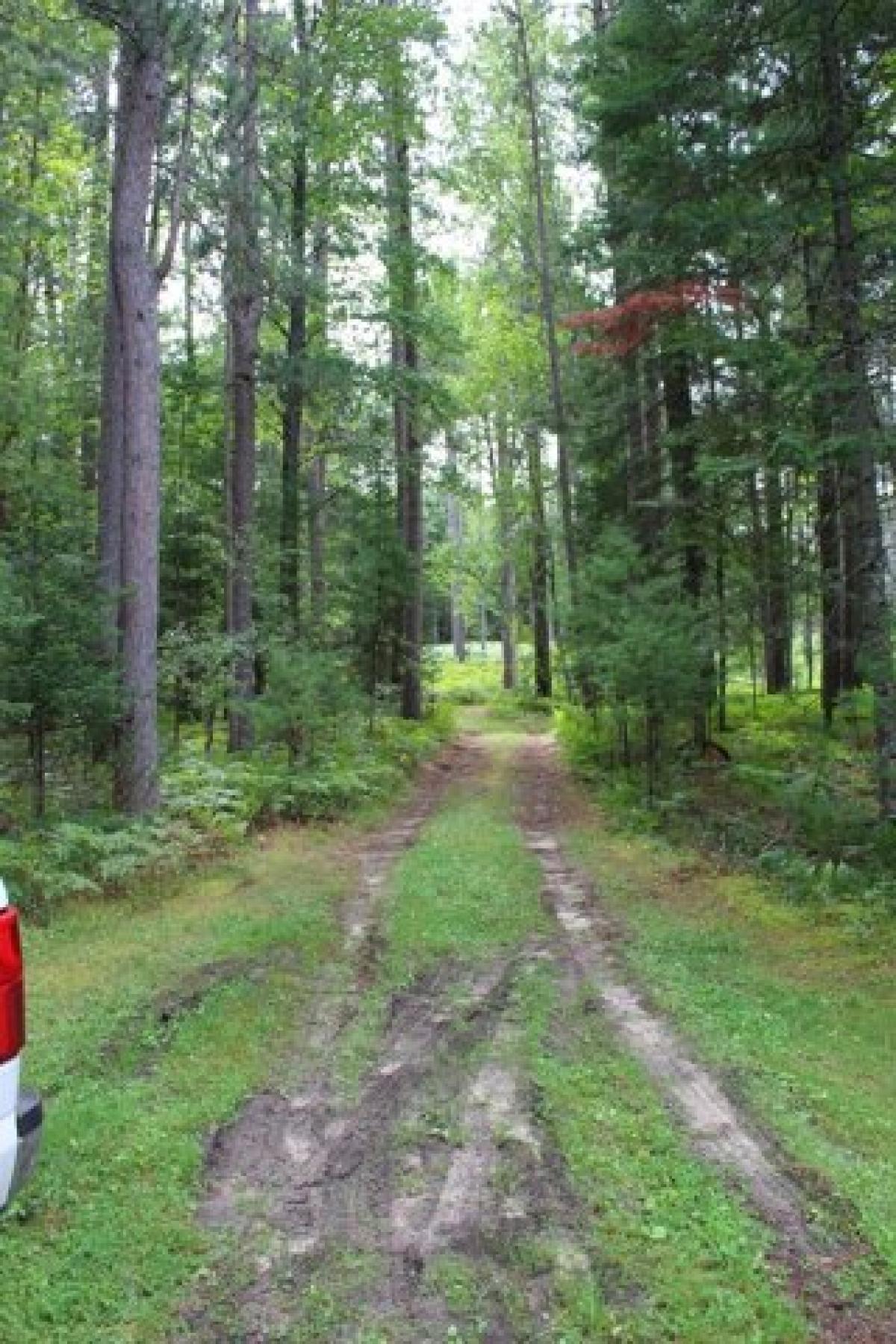 Picture of Home For Sale in Grayling, Michigan, United States