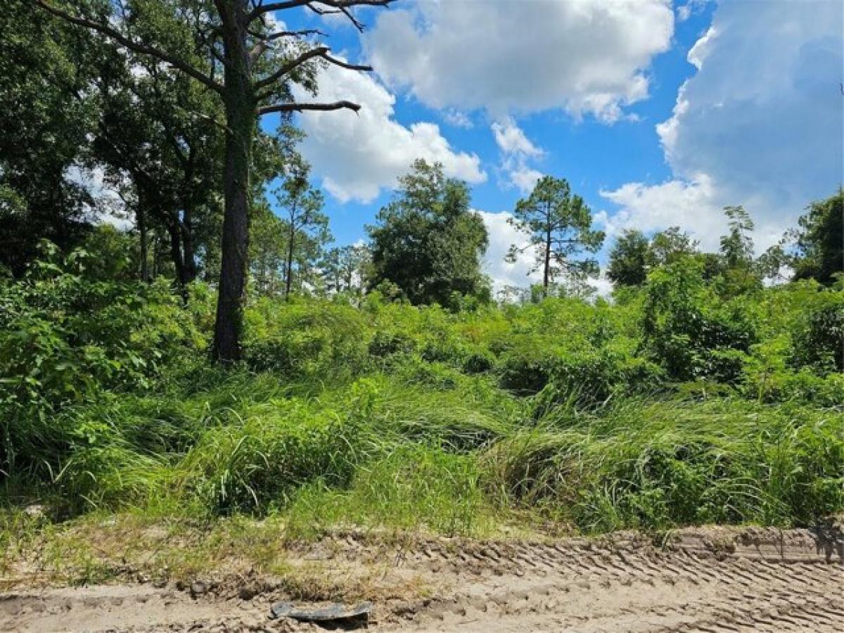 Picture of Residential Land For Sale in Belleview, Florida, United States