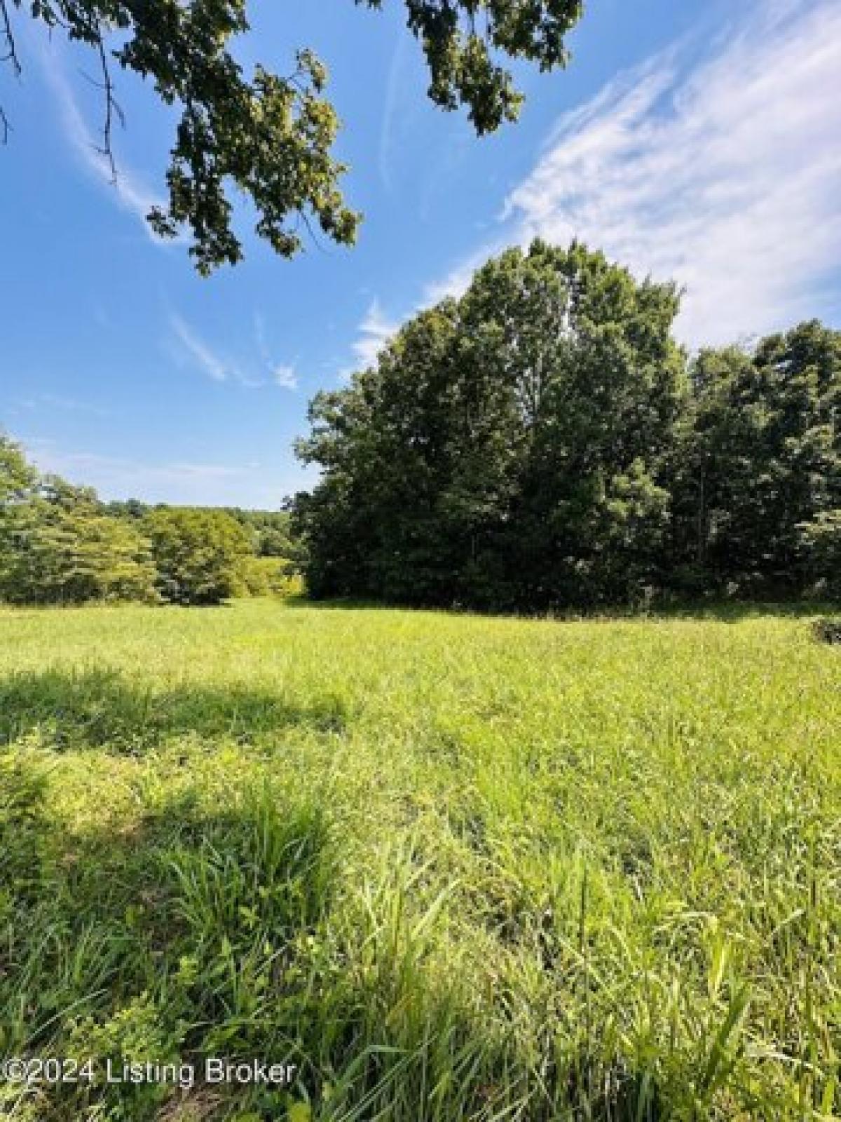 Picture of Residential Land For Sale in Shelbyville, Kentucky, United States