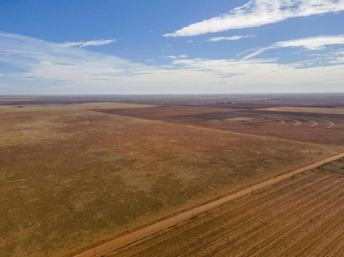 Picture of Residential Land For Sale in Lubbock, Texas, United States