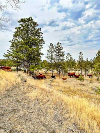 Residential Land For Sale in Chinook, Montana