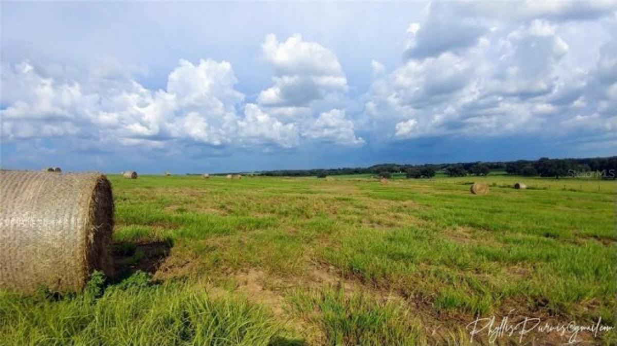 Picture of Residential Land For Sale in Zephyrhills, Florida, United States