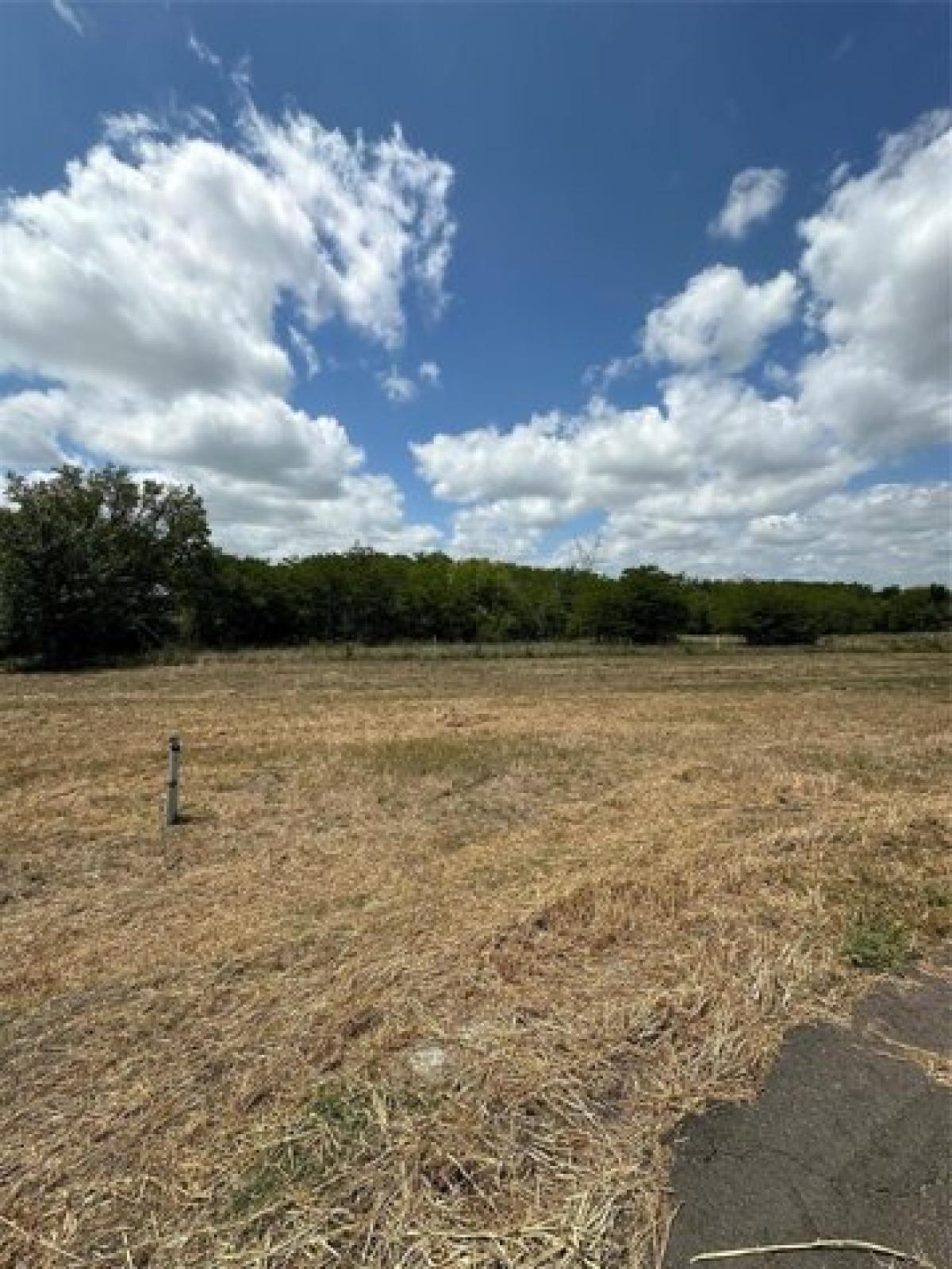 Picture of Residential Land For Sale in Greenville, Texas, United States