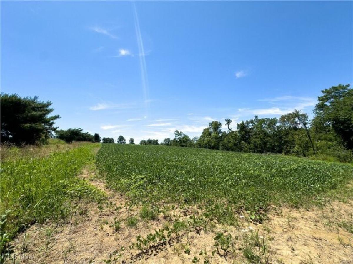 Picture of Residential Land For Sale in Hopewell, Ohio, United States