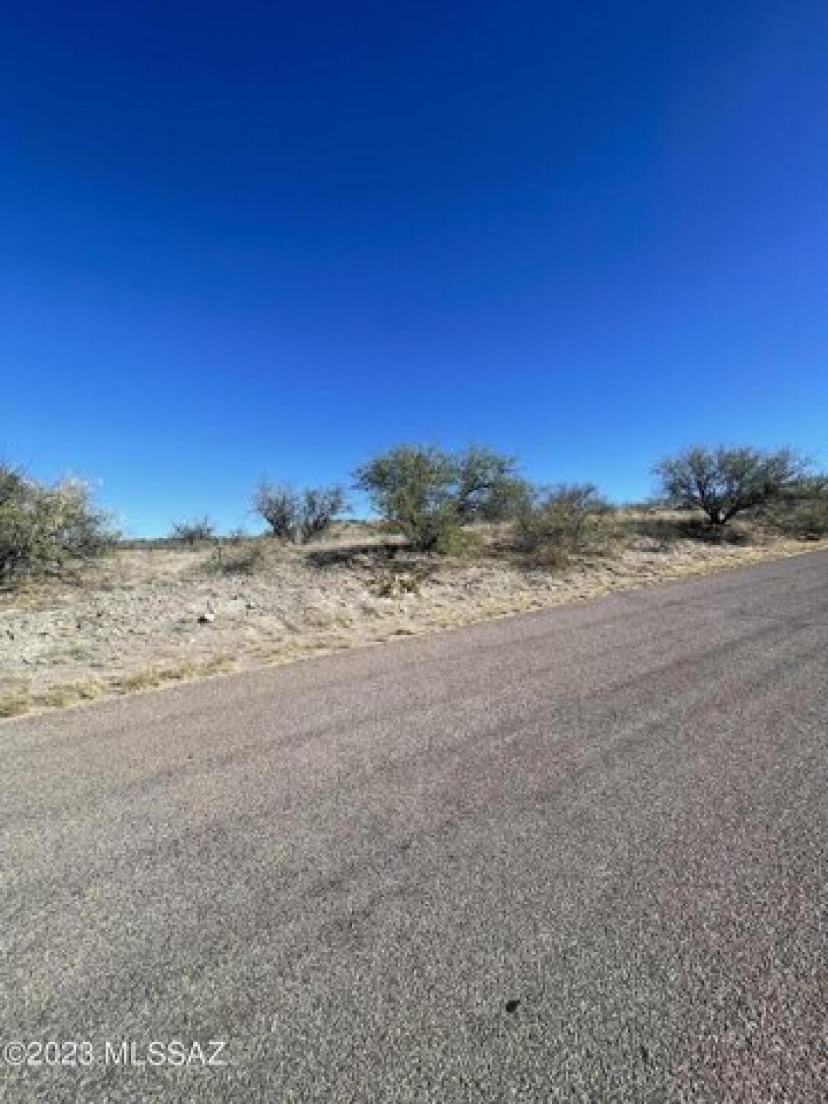 Picture of Residential Land For Sale in Rio Rico, Arizona, United States