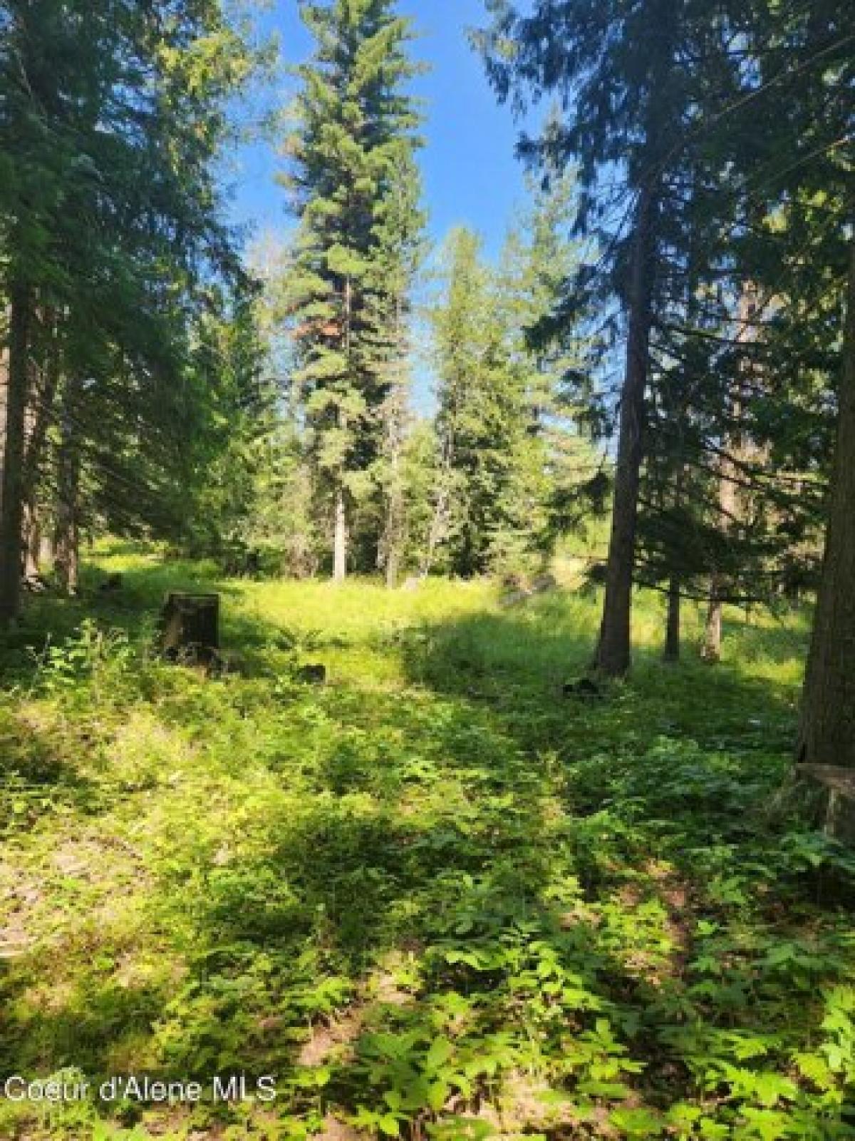 Picture of Residential Land For Sale in Sandpoint, Idaho, United States