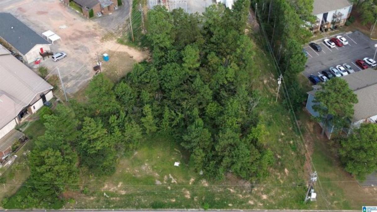 Picture of Residential Land For Sale in Bessemer, Alabama, United States