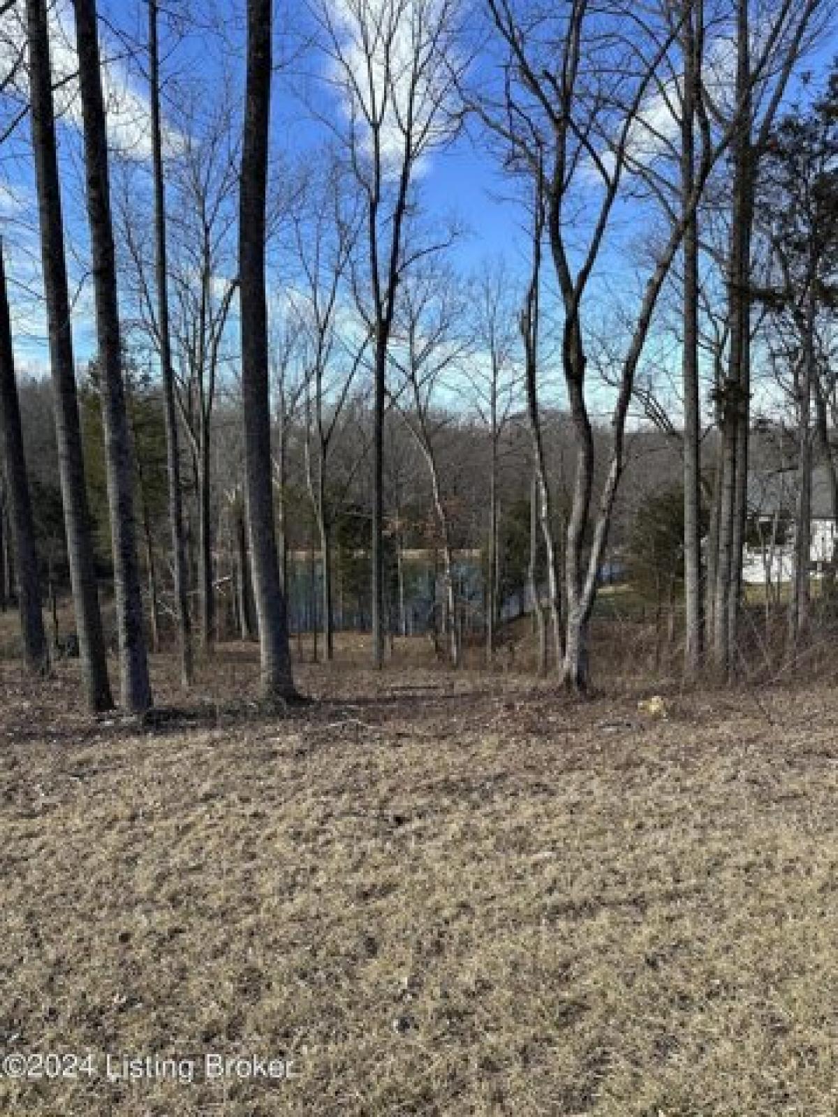 Picture of Residential Land For Sale in Crestwood, Kentucky, United States