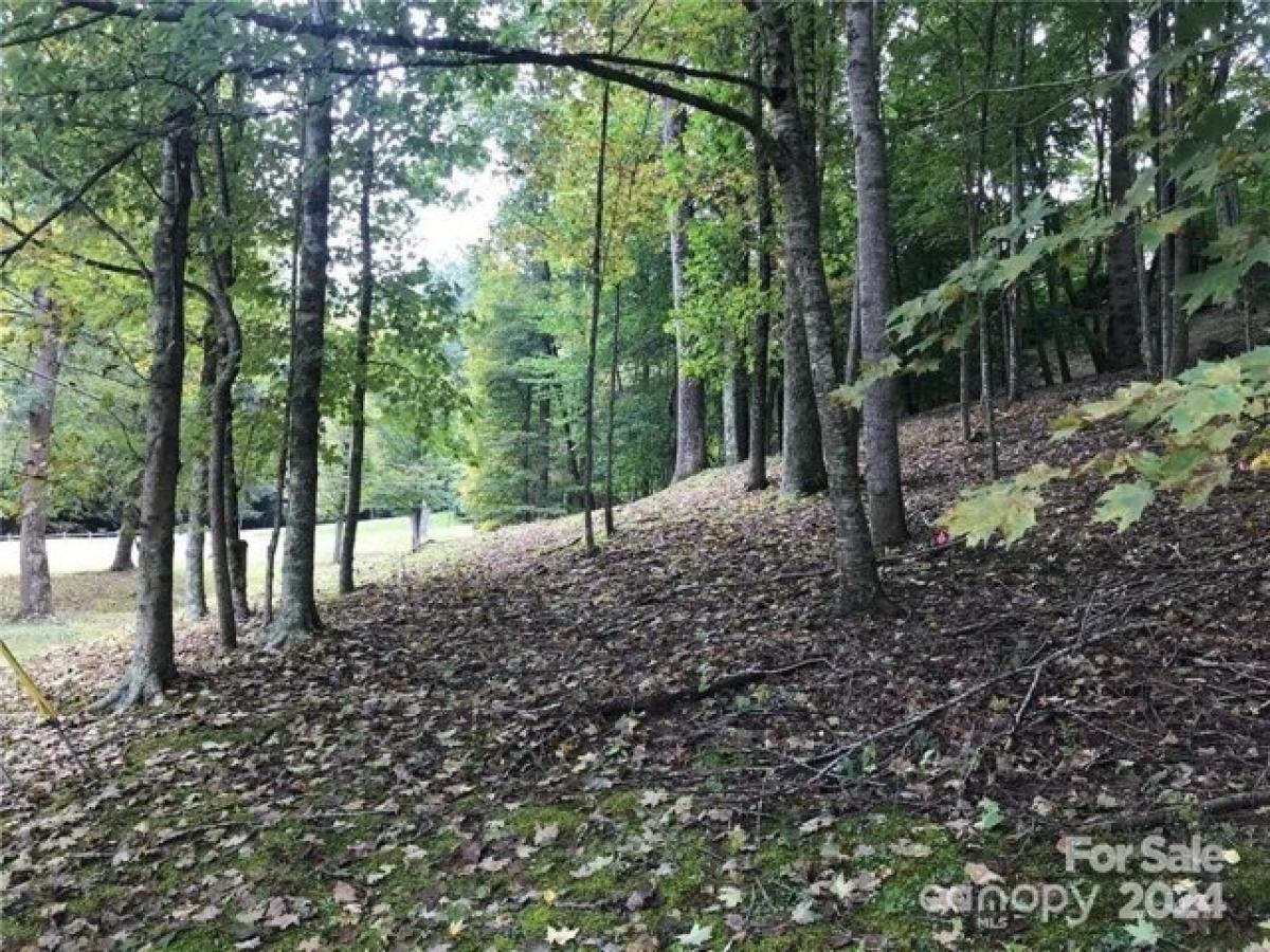 Picture of Residential Land For Sale in Waynesville, North Carolina, United States