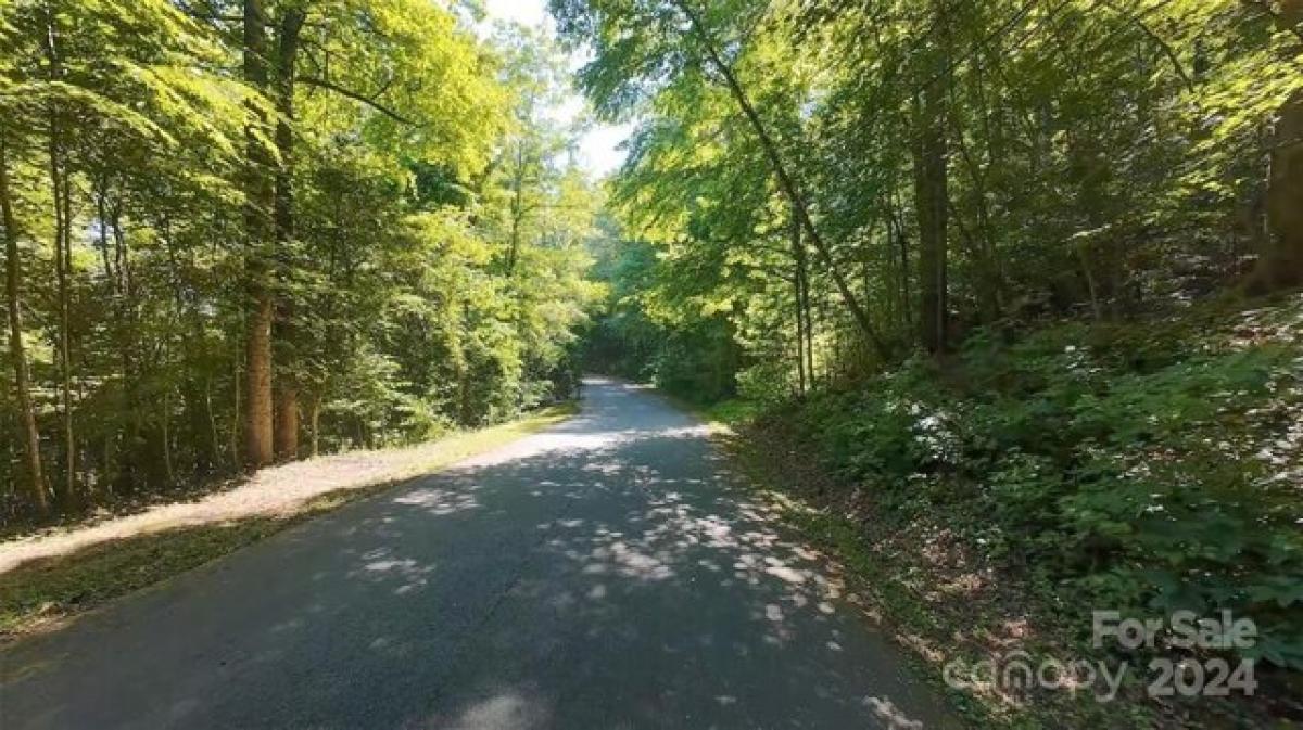 Picture of Residential Land For Sale in Lenoir, North Carolina, United States