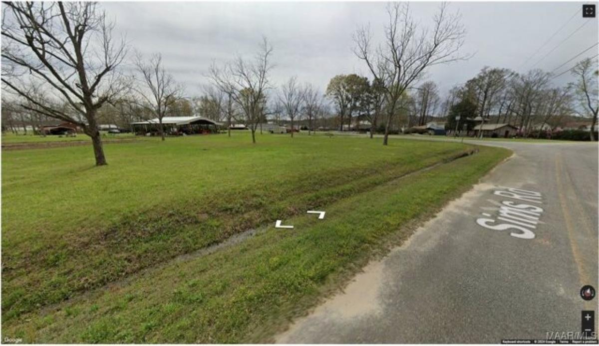 Picture of Residential Land For Sale in Dozier, Alabama, United States