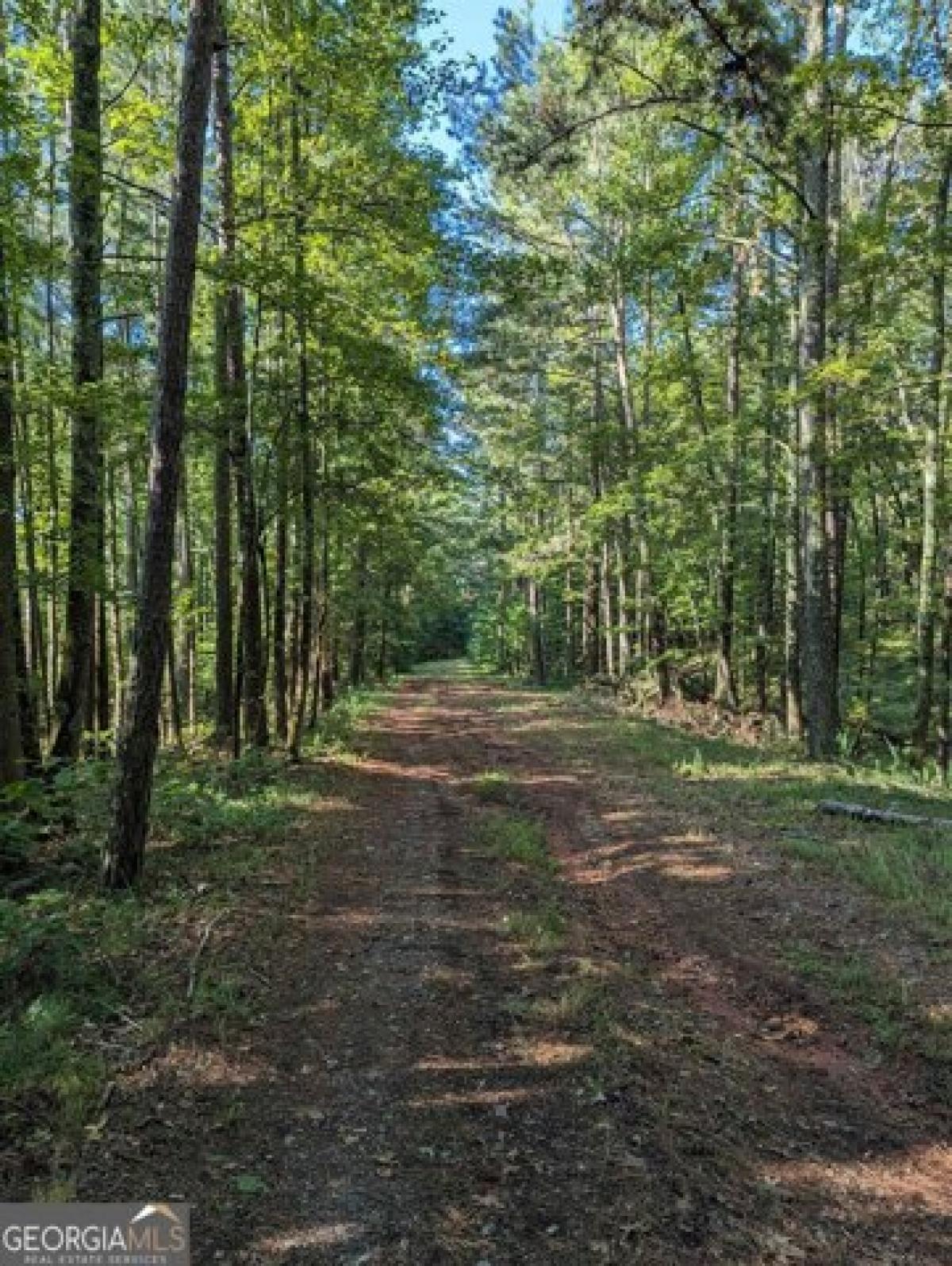 Picture of Residential Land For Sale in Newnan, Georgia, United States