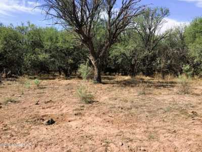 Residential Land For Sale in Willcox, Arizona