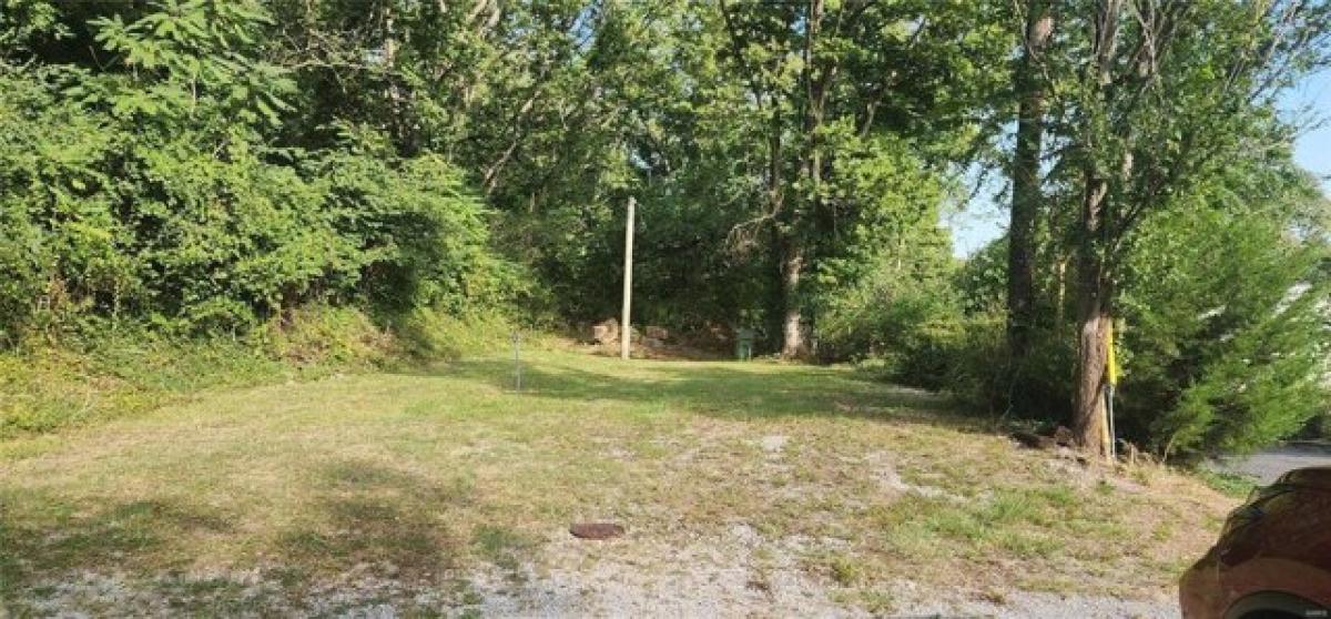 Picture of Residential Land For Sale in Chester, Illinois, United States