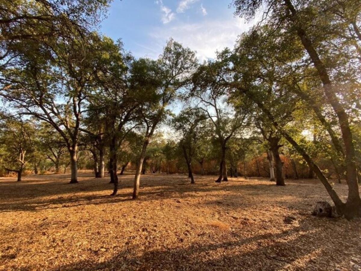 Picture of Residential Land For Sale in Auburn, California, United States