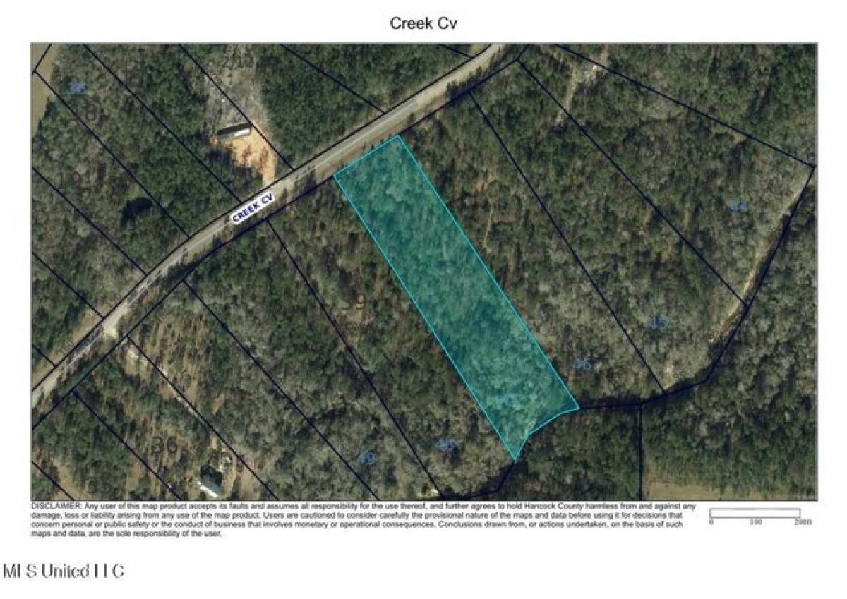 Picture of Residential Land For Sale in Perkinston, Mississippi, United States