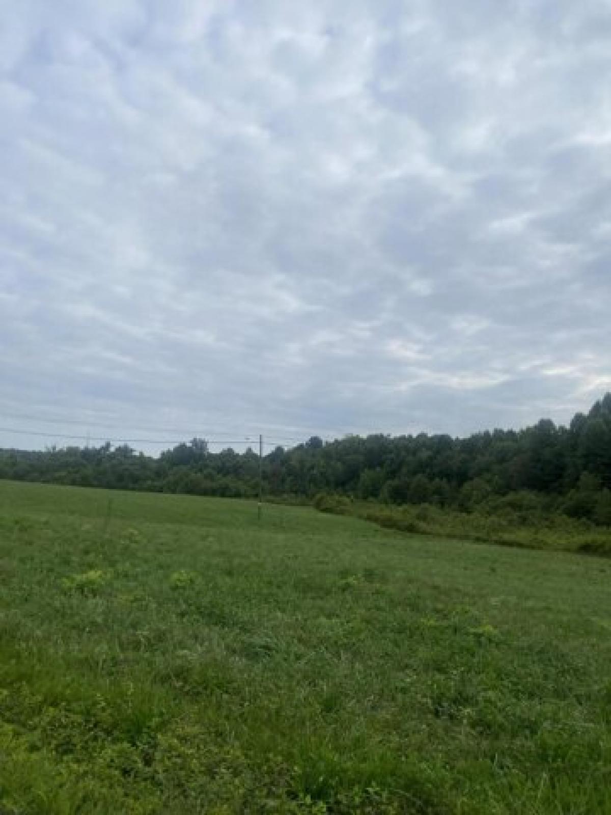 Picture of Residential Land For Sale in London, Kentucky, United States