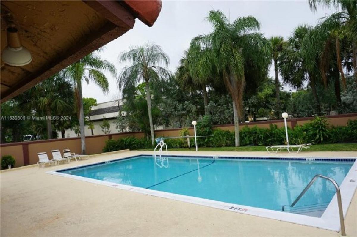 Picture of Apartment For Rent in Sunrise, Florida, United States