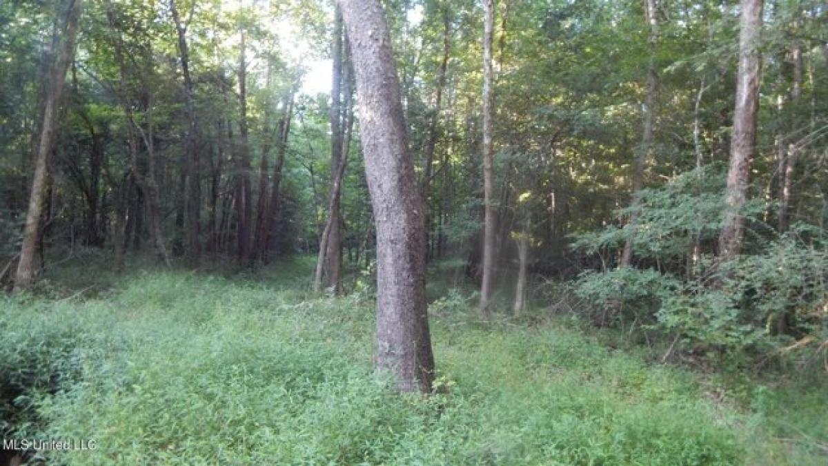 Picture of Residential Land For Sale in Byhalia, Mississippi, United States