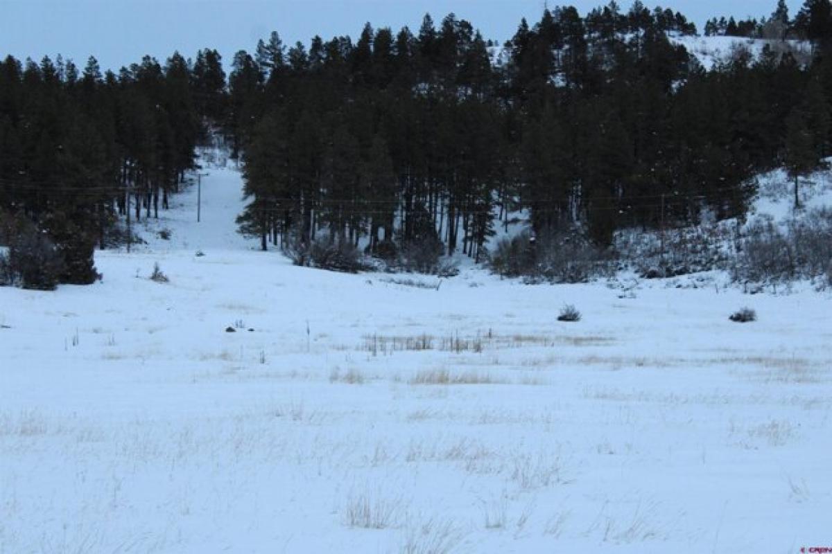 Picture of Residential Land For Sale in Pagosa Springs, Colorado, United States