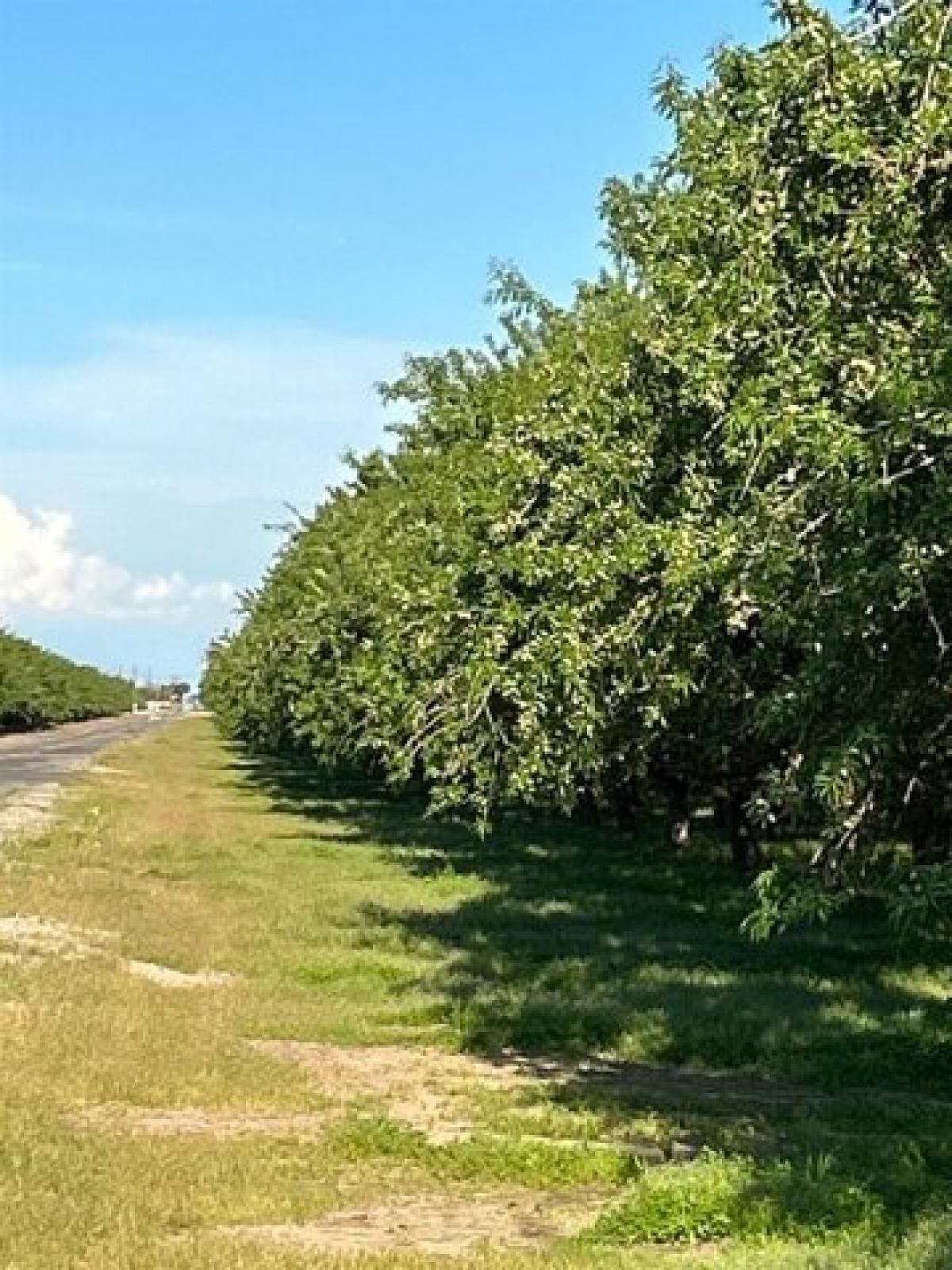 Picture of Residential Land For Sale in Madera, California, United States