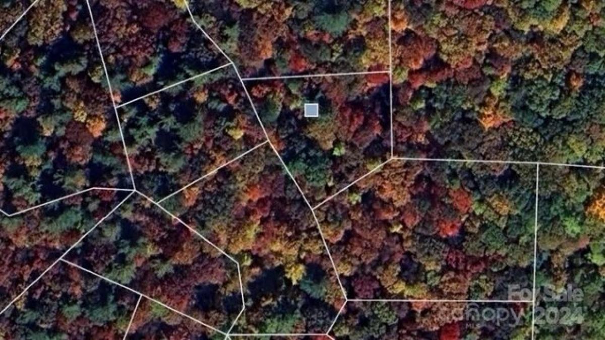 Picture of Residential Land For Sale in Deep Gap, North Carolina, United States