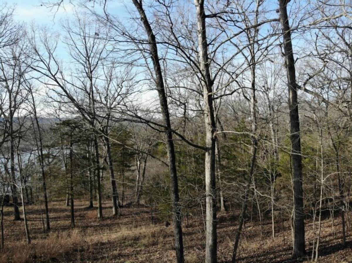 Picture of Residential Land For Sale in Eagle Rock, Missouri, United States