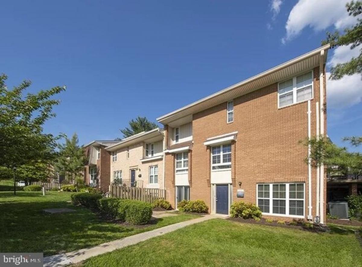 Picture of Apartment For Rent in Rockville, Maryland, United States