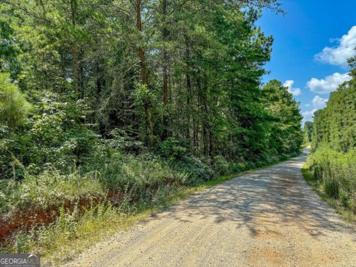 Picture of Residential Land For Sale in Waco, Georgia, United States