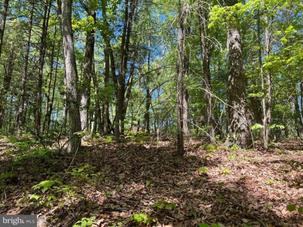 Picture of Residential Land For Sale in Mount Jackson, Virginia, United States