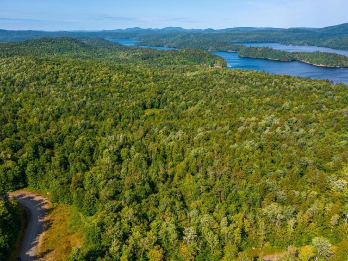 Picture of Residential Land For Sale in Tupper Lake, New York, United States