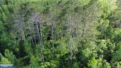 Residential Land For Sale in Hibbing, Minnesota