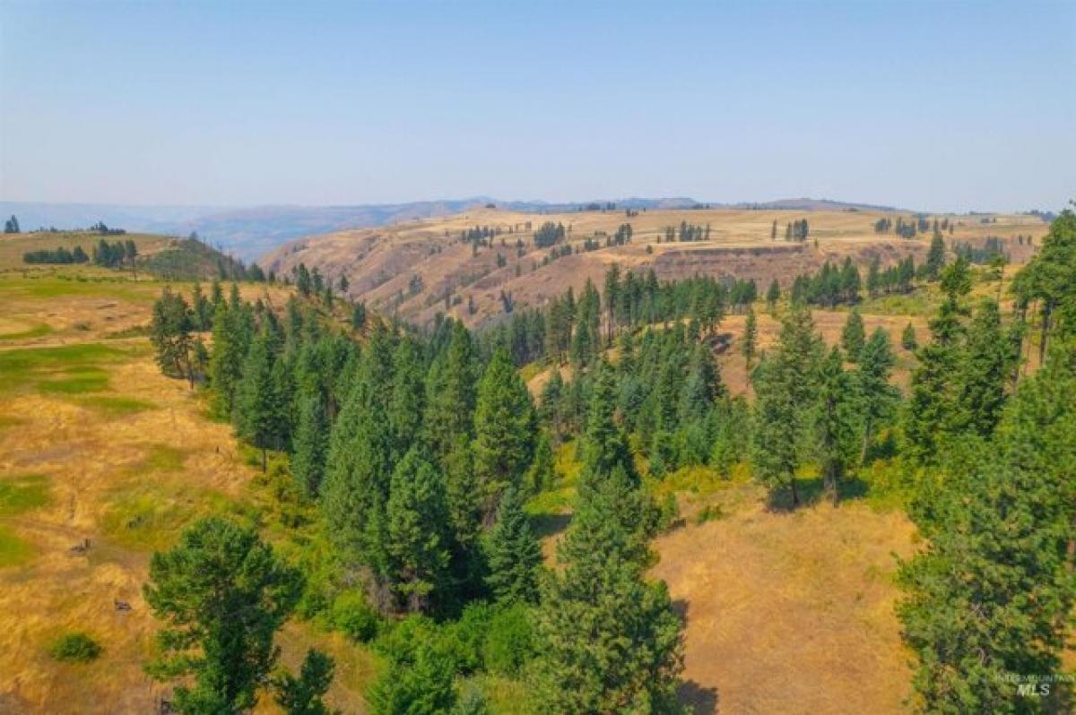 Picture of Residential Land For Sale in Kamiah, Idaho, United States