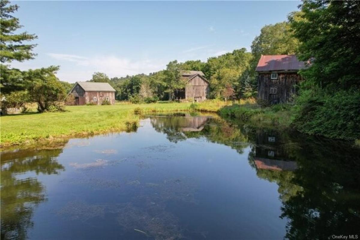 Picture of Home For Sale in Livingston Manor, New York, United States