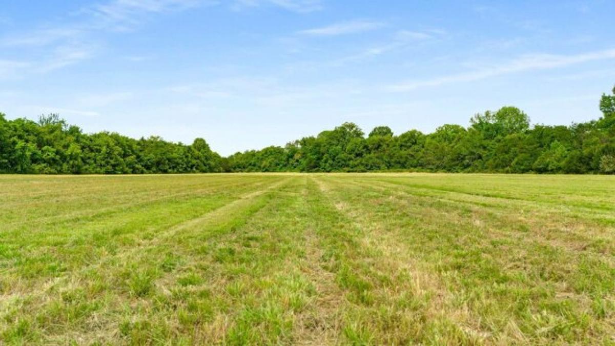 Picture of Residential Land For Sale in Eagleville, Tennessee, United States