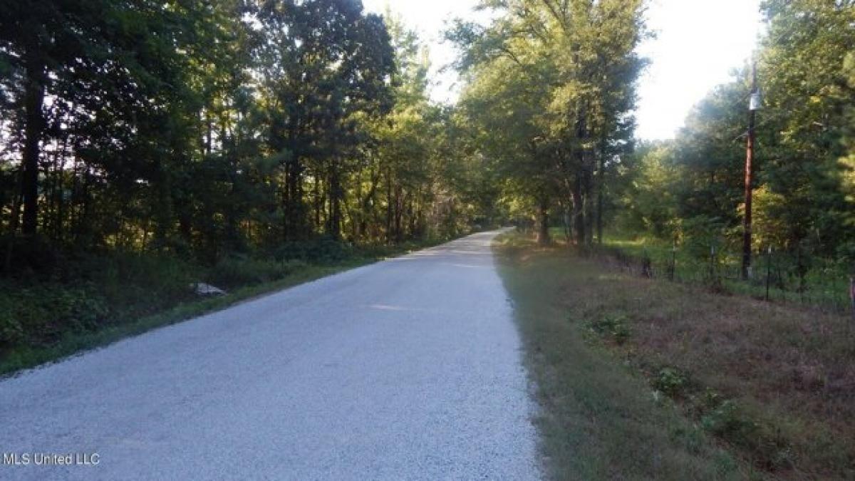 Picture of Residential Land For Sale in Byhalia, Mississippi, United States