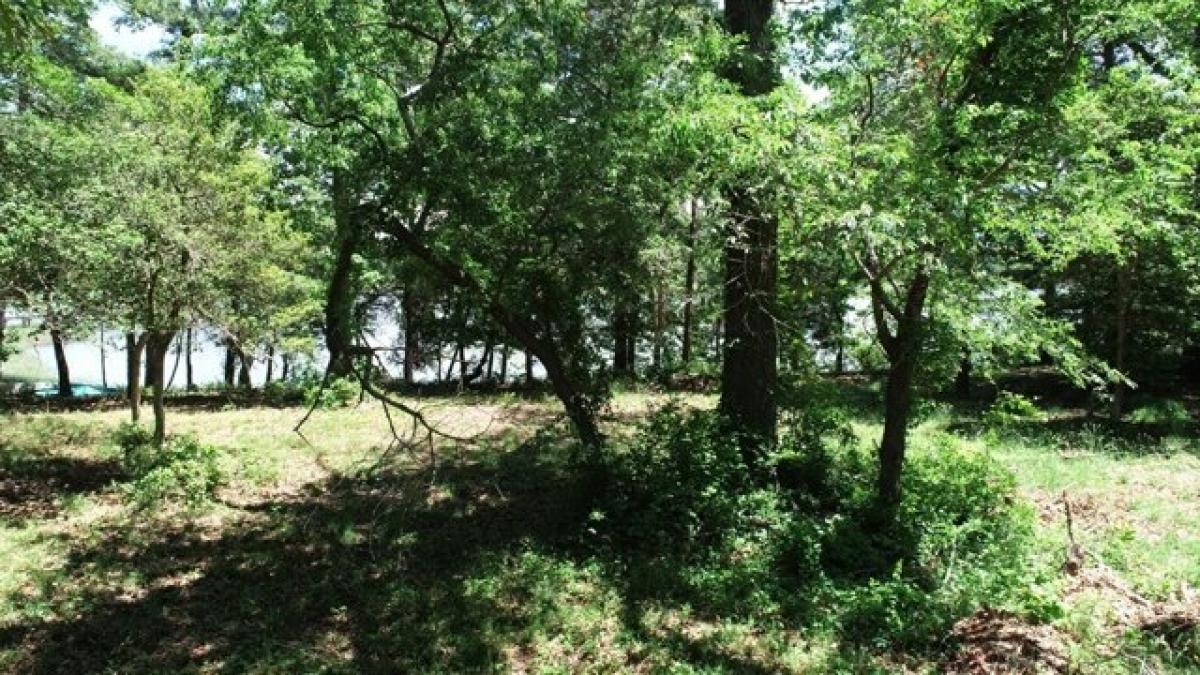 Picture of Residential Land For Sale in Cape Charles, Virginia, United States