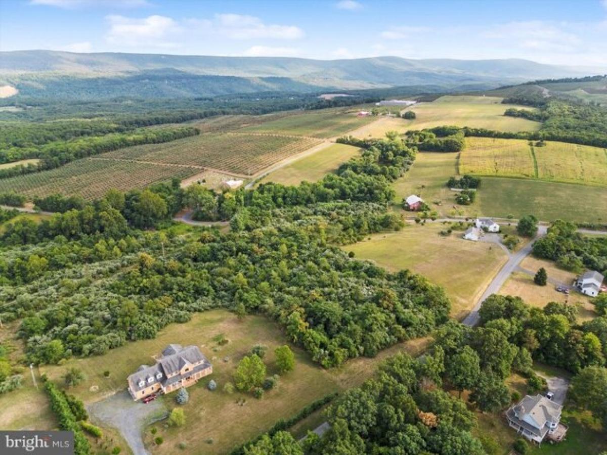 Picture of Residential Land For Sale in Gore, Virginia, United States