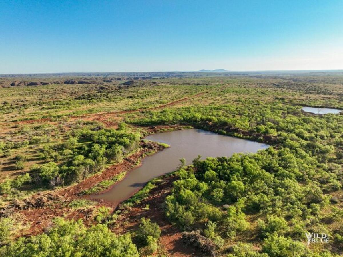 Picture of Residential Land For Sale in Rotan, Texas, United States