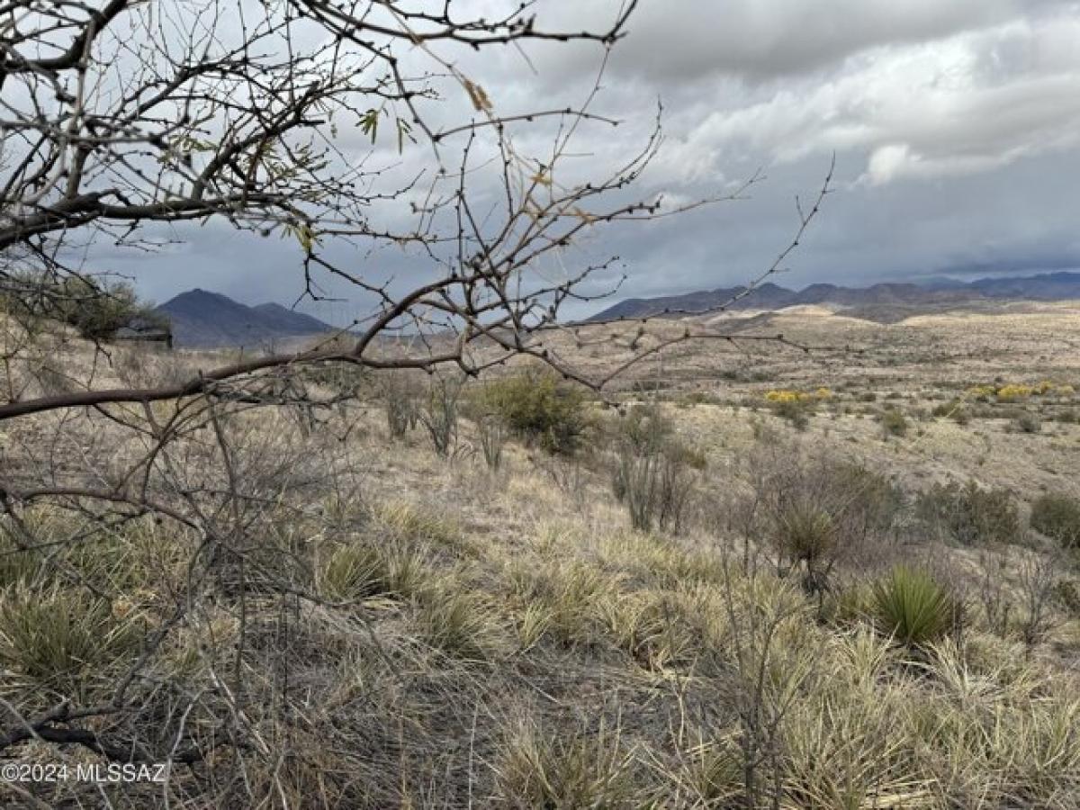 Picture of Residential Land For Sale in Rio Rico, Arizona, United States