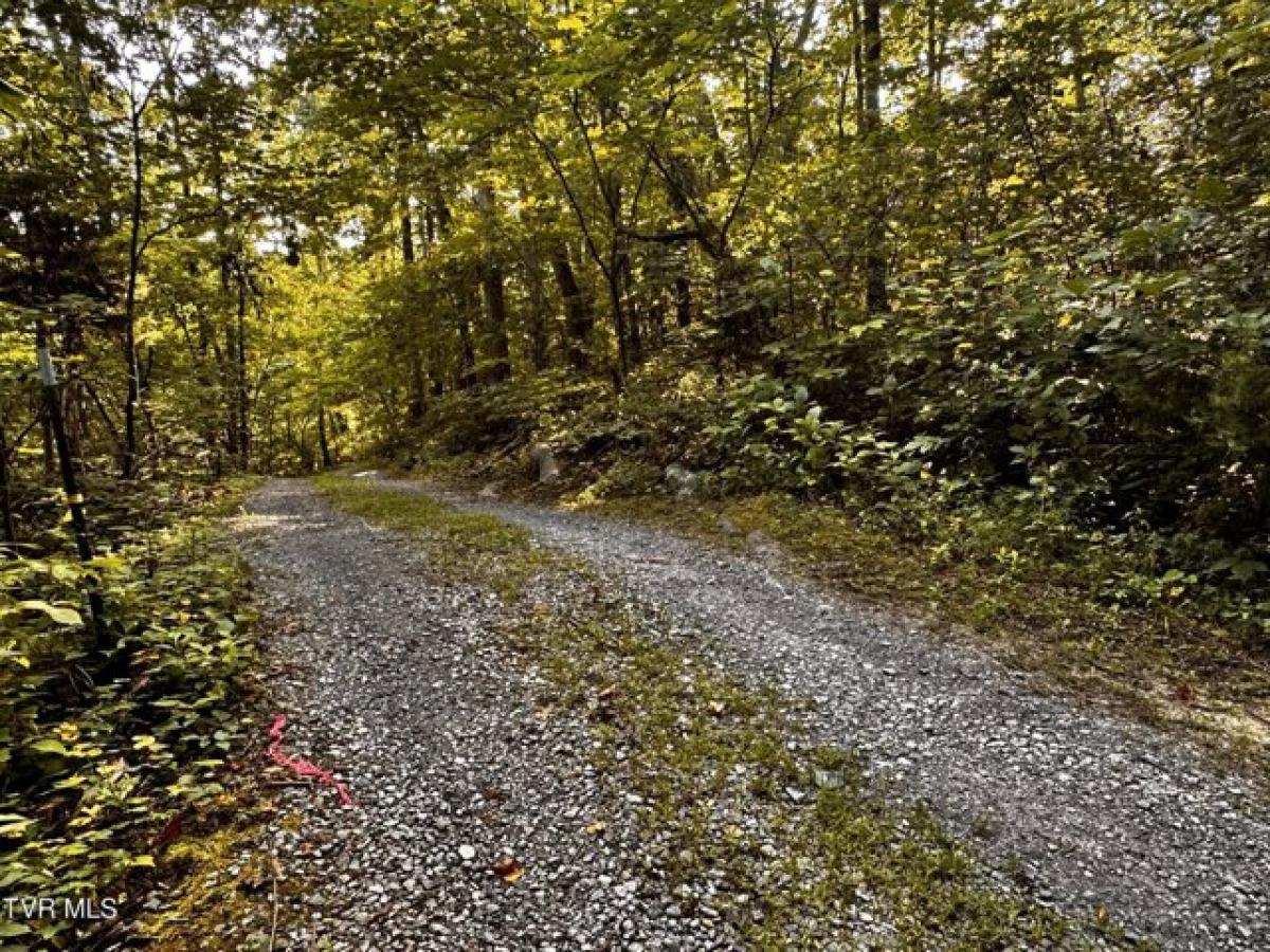 Picture of Residential Land For Sale in Greeneville, Tennessee, United States