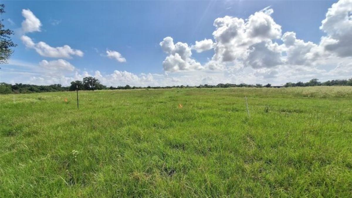 Picture of Residential Land For Sale in Washington, Texas, United States