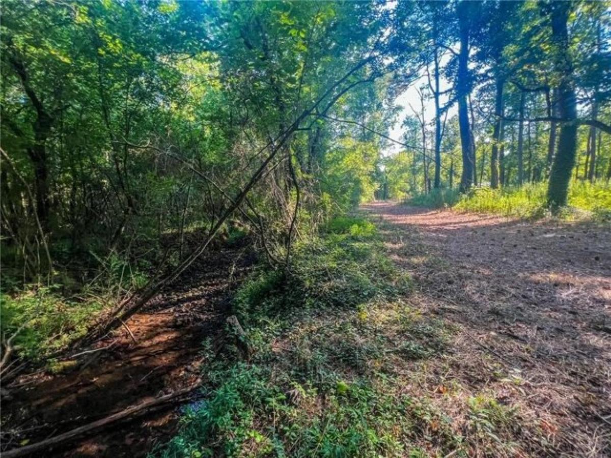 Picture of Residential Land For Sale in Lindale, Georgia, United States