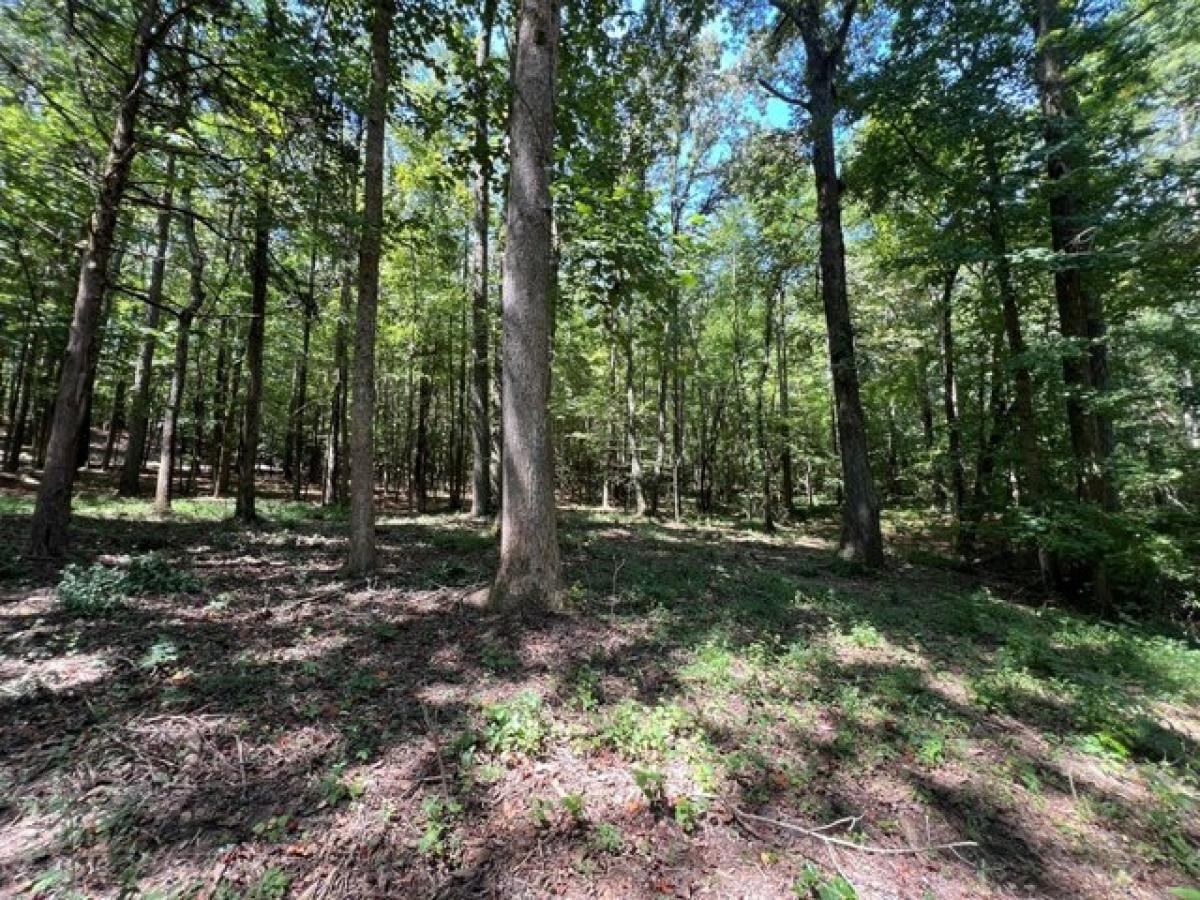 Picture of Residential Land For Sale in Cedar Grove, Tennessee, United States