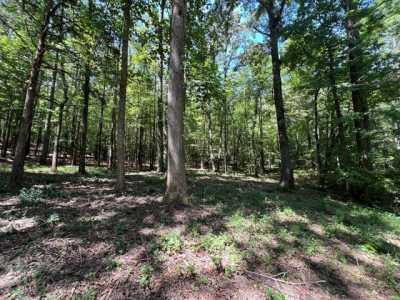 Residential Land For Sale in Cedar Grove, Tennessee