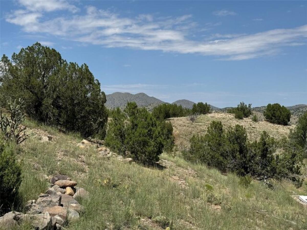 Picture of Residential Land For Sale in Cerrillos, New Mexico, United States