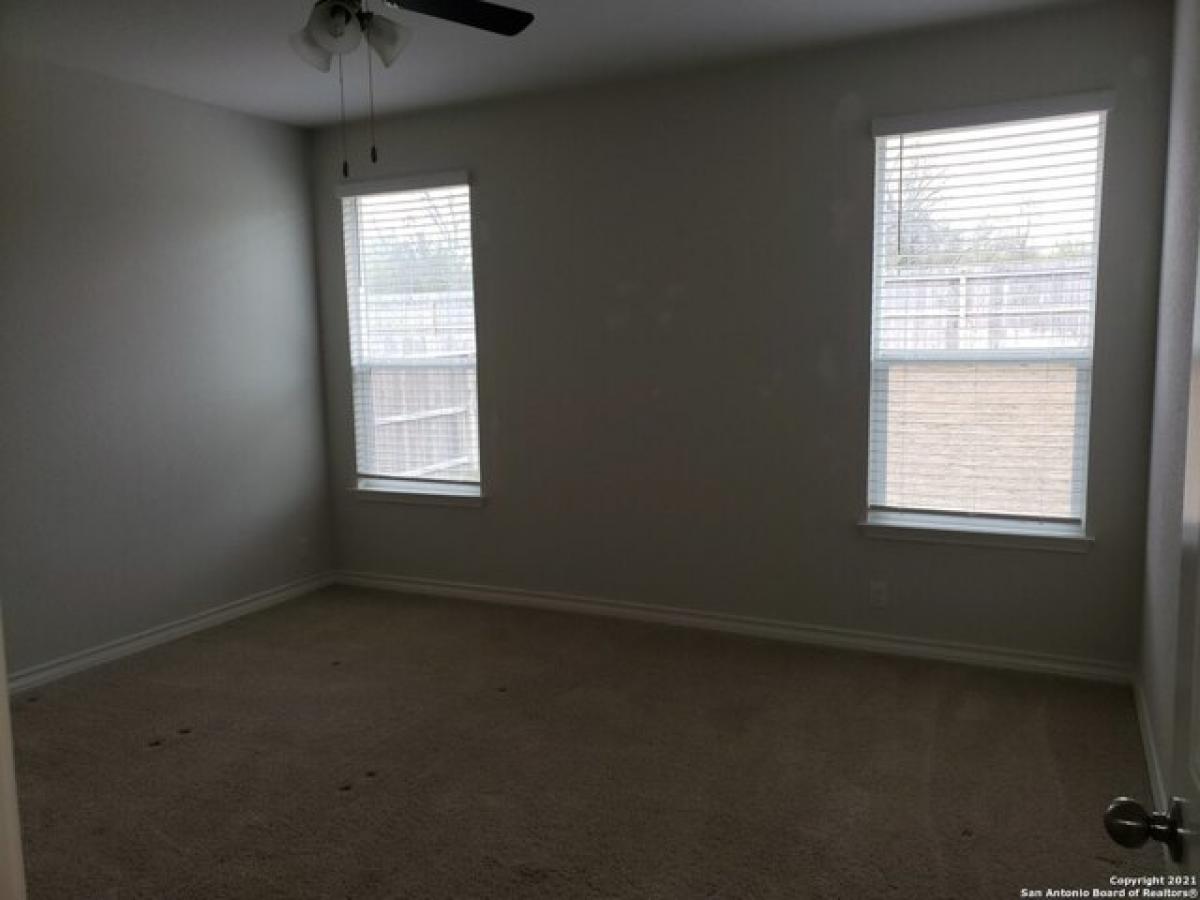 Picture of Home For Rent in Cibolo, Texas, United States