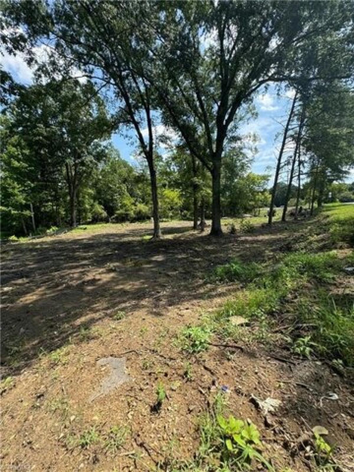 Picture of Residential Land For Sale in Eden, North Carolina, United States